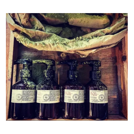 Gel Puro Aloe Vera y Té Matcha Bio 200 Ml